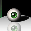 einzelnes Auge