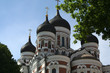 The Alexander Nevsky Cathedral