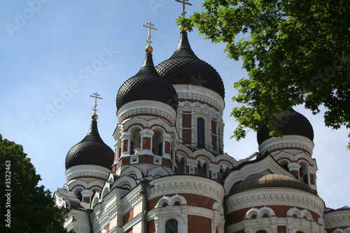 The Alexander Nevsky Cathedral