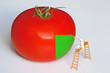 chantier tomate 2