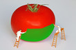 chantier tomate 4
