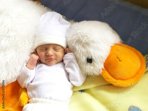 newborn girl sleeping in her favourite soft toy duck newborn girl sleeping in her favourite soft toy duck