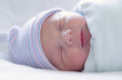 Close-up image of a one-day old baby boy Close-up image of a one-day old baby boy