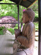 Zen Zen