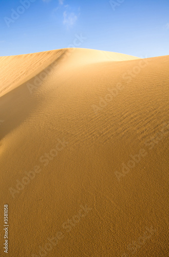 goldene sanddüne auf fuerteventura goldene sanddüne auf fuerteventura