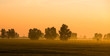 Sunrise on the meadow - summery morning Sunrise on the meadow - summery morning