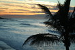 Palms Margatebeach