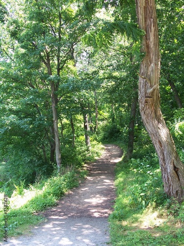 Photo: beautiful trail beautiful trail