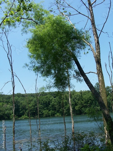 Photo: lake grubb lake grubb