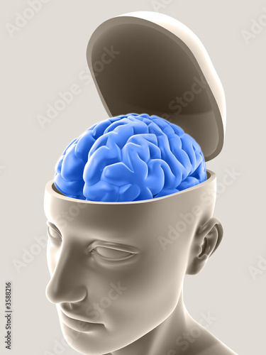 Open Mind