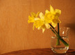 three daffodils