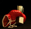 Photo en ligne au meilleur prix red boxing glove holding a shining cup, closeup