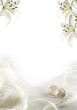 White wedding greeting blank White wedding greeting blank