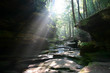Sun shines through