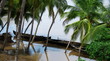 a river in kerala, south india, in the rainy season