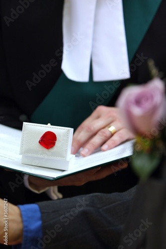 Red Petal Red Petal