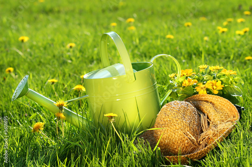 Foto: Watering can in the grass Watering can in the grass