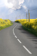 Through the rape fields