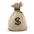 sack with money dollar currency isolated sack with money dollar currency isolated