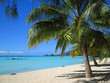 Plage de Moorea en Polynésie