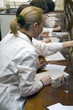 Students in the chemical laboratory