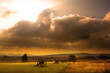 Battlefield Sunrise Battlefield Sunrise