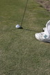 golfer putting