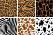 animal prints