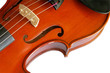 violin closeup showing the bridge (11) with clipping path