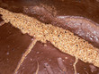 Malt de bière