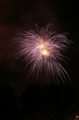 Fuochi artificiali Fuochi artificiali