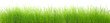 Herbes en haute résolution