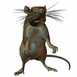 Ratte