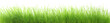 Herbes humides en très haute résolution