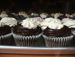 Photo: Rows of Dark Chocolate Cupcakes in Gourmet Bakery Window Rows of Dark Chocolate Cupcakes in Gourmet Bakery Window