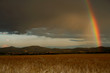 Regenbogen