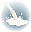 벡터 일러스트(편집용 파일):Milk pouring out, spilled, drops. Vector illustration. Milk pouring out, spilled, drops. Vector illustration.