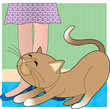 Cat Stretchig Shoes Cat Stretchig Shoes