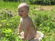 The child in a sunny day in a basin with water on a green grass