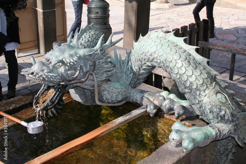 DRAGON DRAGON