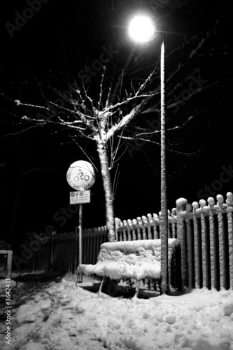 neve neve