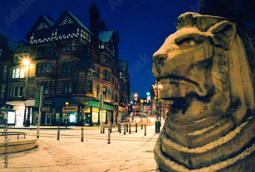 lion in the square