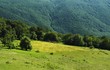 Rural scene