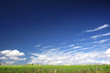 Green field landscape with a great blue sky
