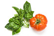 Tomato pesto