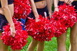 Group of cheerleaders standing together holding their pompons