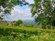 Old farmstead.