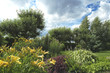 garden. summer scenic