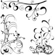 Floral elements C - popular floral segments