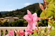villa cannes